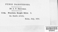 Image Associated With the Occurence